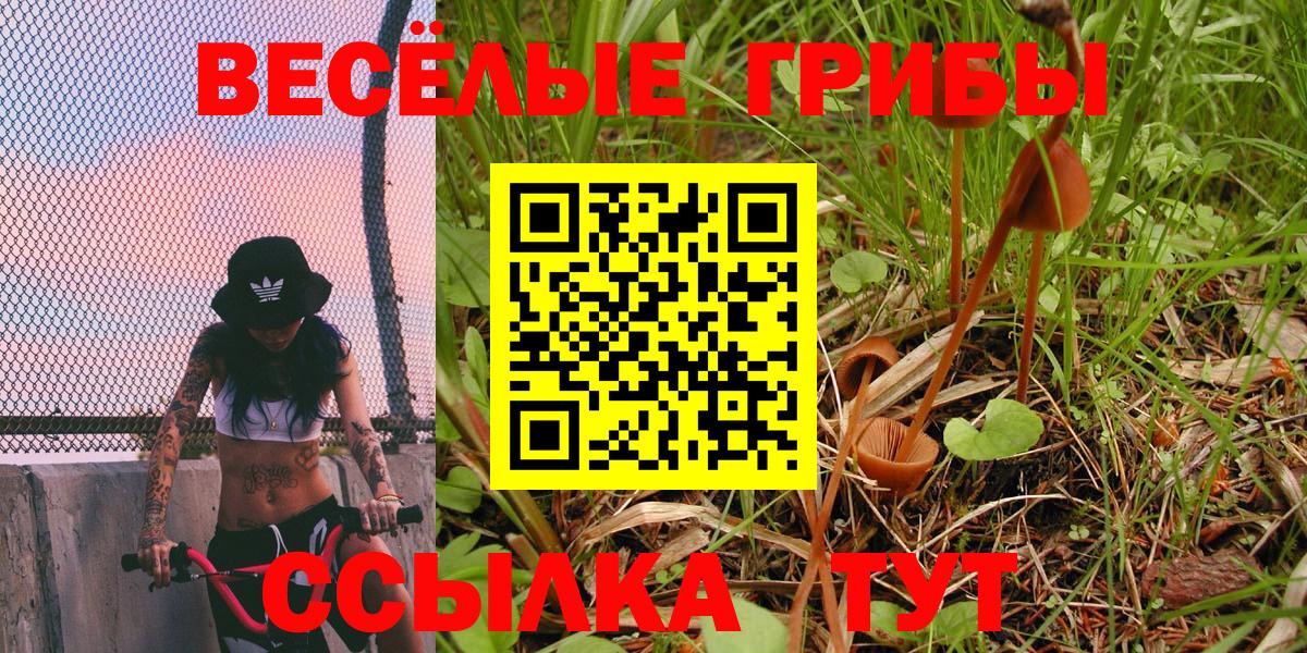 Галлюциногенные грибы ЛСД Зеленокумск
