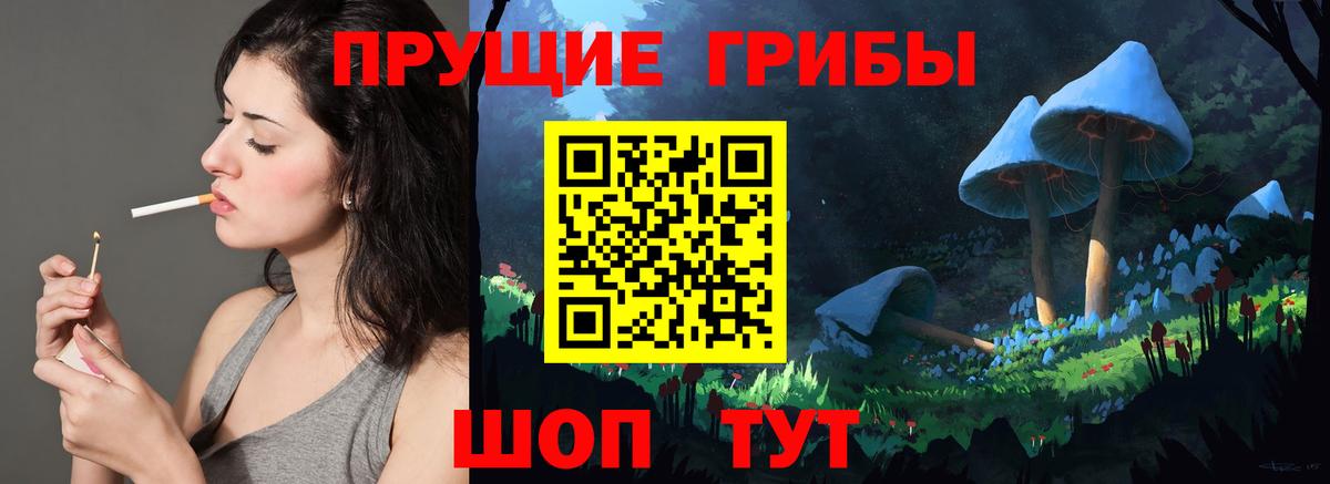 Зеленокумск  Галлюциногенные грибы Psilocybine cubensis  Вход с VPN 